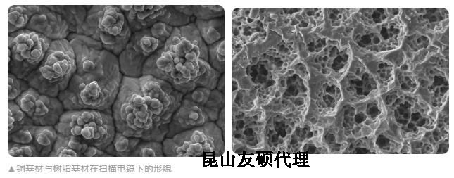 塔城蔡司塔城扫描电镜