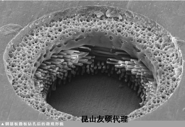 塔城蔡司塔城扫描电镜